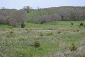 Mormon Trail event at Murray