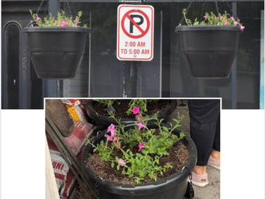 Flowers to add vibrance  to downtown Osceola