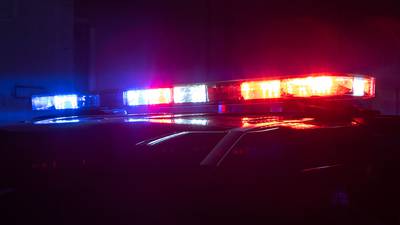 Theft charge ends in guilty plea