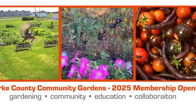 Clarke County Community Gardens Kicks off Spring with New Membership Drive