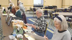 A little water, a lot of fun