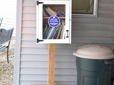 Village receives Little Library