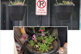 Flowers to add vibrance  to downtown Osceola