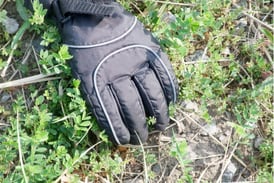 County sets noxious  weed destruction rates