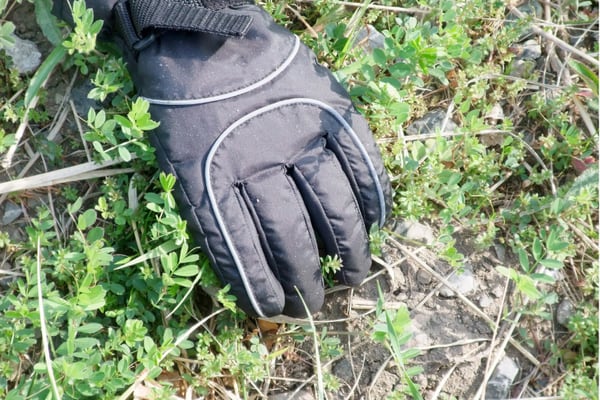 County sets noxious  weed destruction rates