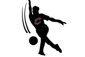 Clarke bowling takes down Johnston