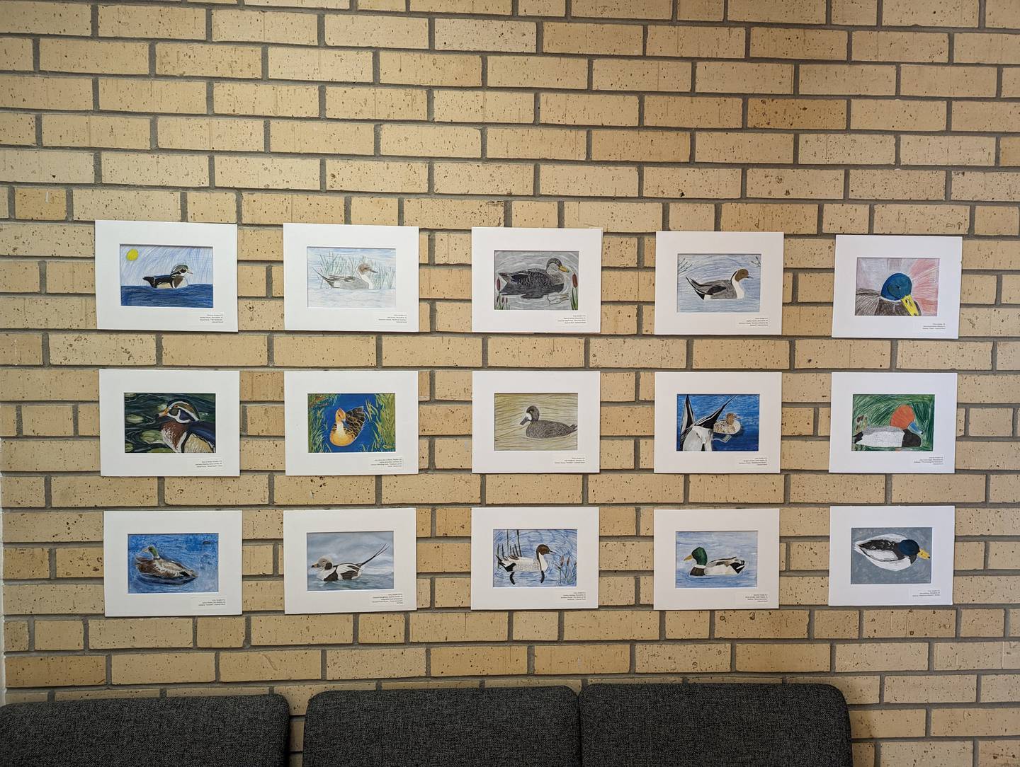 2023 Iowa Duck Stamp contest winners are currently displayed at the Clarke County Courthouse.