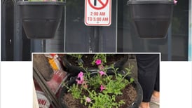 Flowers to add vibrance  to downtown Osceola