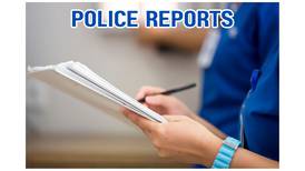 April 3, 2025 police reports