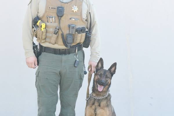 ‘Part of my identity is gone’