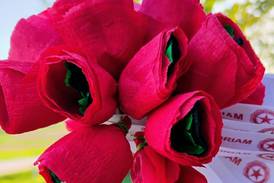 National Poppy Day