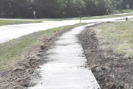 Council amends sidewalk  program incentive