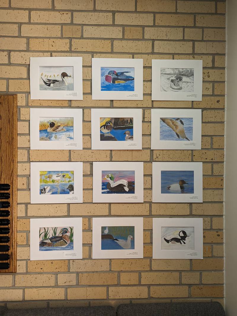 2023 Iowa Duck Stamp contest winners are currently displayed at the Clarke County Courthouse.