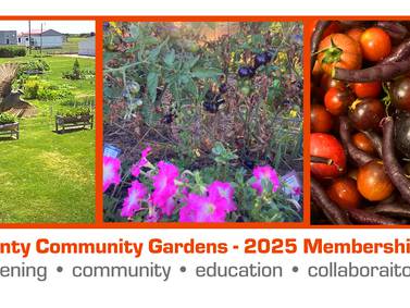 Clarke County Community Gardens Kicks off Spring with New Membership Drive