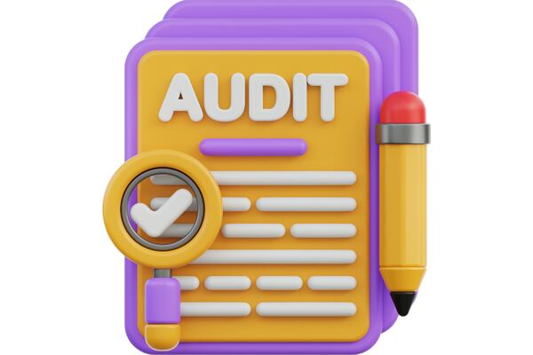 CROSS audit released