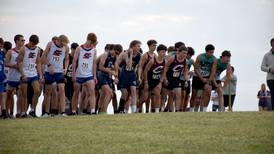 Hay, DeVore medal at home