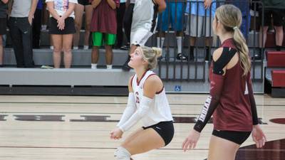 Clarke volleyball