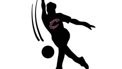 Clarke bowlers pick up a win