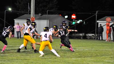 Mustangs rear up  for the win