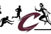 Clarke track bid for state ends at Pella