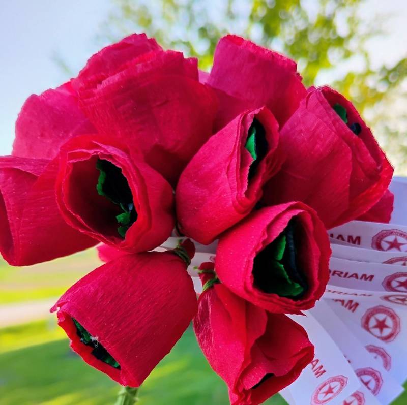 National Poppy Day is May 23.