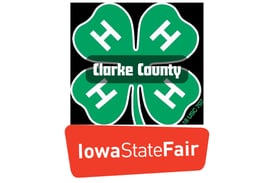 Clarke County 4-H state fair results 2025
