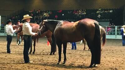 Murray FFA represents well at State Fair, ready for new year